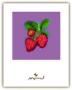 Raspberries by Anthony Morrow Limited Edition Pricing Art Print