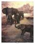 African Sunset by Consuelo Gamboa Limited Edition Print