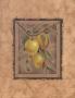 Citron Fructus by Constance Lael Limited Edition Print