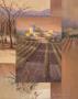 Sunrise Vineyard by Paul Mathenia Limited Edition Pricing Art Print