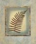 Fern I by Tara Green Limited Edition Print