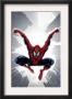 The Amazing Spider-Man #552 Cover: Spider-Man by Phil Jimenez Limited Edition Pricing Art Print