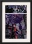 Daredevil #98 Group: Daredevil, Elektra And Bullseye by Michael Lark Limited Edition Print