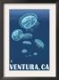 Ventura, California - Jellyfish, C.2009 by Lantern Press Limited Edition Pricing Art Print
