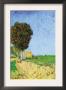 Alane Near Arles by Vincent Van Gogh Limited Edition Print