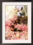 Roses Of Heliogabalus by Sir Lawrence Alma-Tadema Limited Edition Print