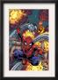 Amazing Spider-Man #526 Cover: Spider-Man by Mike Wieringo Limited Edition Print