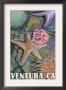Ventura, California - Tidepool, C.2009 by Lantern Press Limited Edition Pricing Art Print