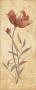 Terra Blooms I by Jo Moulton Limited Edition Print