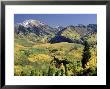 Treasure Mt, White River Nf, Co by Wallace Garrison Limited Edition Print