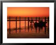 Silhouette Of Boat At Sunset, Fl by Don Romero Limited Edition Print
