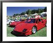 Cars At Newport Beach Concours D'elegance, Ca by Shubroto Chattopadhyay Limited Edition Print