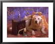 Dog Dressed As Christmas Angel by Frank Siteman Limited Edition Print