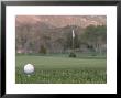 Golf Ball On Tee by Roger Holden Limited Edition Print