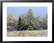 Early Snow Along Rte 73, Adirondack Mountains, Ny by Jim Schwabel Limited Edition Pricing Art Print