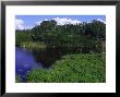 Everglades National Park, Fl by Jeff Greenberg Limited Edition Print