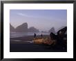 Mother And Daughter, Cape Sebastian St. Park by Jim Corwin Limited Edition Pricing Art Print