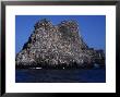 Arch Rock Off Wolf Island, Galapagos Islands by Ernest Manewal Limited Edition Print