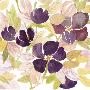 Aubergine Blossom Ii by Edith Lentz Limited Edition Print