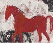 Stallion Strut Ii by Julian Dimitrov Limited Edition Print