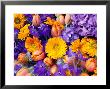 Summer Flowers, Calendula, Tulipa, Delphinium, Hydrangea Blue & Orange Theme by Linda Burgess Limited Edition Pricing Art Print