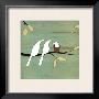 Baby Bird by Kristiana Parn Limited Edition Pricing Art Print