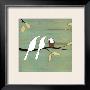 Baby Bird by Kristiana Pã¤Rn Limited Edition Print