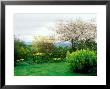 Garden With Views Towards The Great Glen, Scotland by Lynn Keddie Limited Edition Print