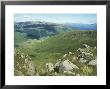 View In Western Highlands Of Scotland Looking Down Onto Valley With Ben Nevis In Far Distance by David Boag Limited Edition Print