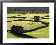 Barns At Swaledale, Uk by David Clapp Limited Edition Print