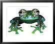 Glass Frog, Panama by David M. Dennis Limited Edition Pricing Art Print