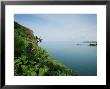 Coastal Flora Of Skomer Island, Skomer Island, Uk by Elliott Neep Limited Edition Pricing Art Print