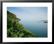 Coastal Flora Of Skomer Island, Skomer Island, Uk by Elliott Neep Limited Edition Print