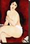 Beautiful Woman by Amedeo Modigliani Limited Edition Print