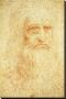 Self-Portrait by Leonardo Da Vinci Limited Edition Print