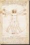 Vitruvius Man by Leonardo Da Vinci Limited Edition Print