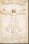 Vitruvius Man by Leonardo Da Vinci Limited Edition Pricing Art Print