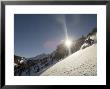 Man Skiing In Powder At Honeycomb Canyon, Wasatch Mountains, Usa by Mike Tittel Limited Edition Print