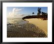 Coco Beach, Tanzania by Ariadne Van Zandbergen Limited Edition Print