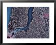 Manhattan & Brooklyn, New York by Stocktrek Images Limited Edition Print