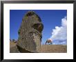 Close-Up Of Rano Rarakay, Stone Head Carved From Crater, Moai Stone Statues, Easter Island, Chile by Geoff Renner Limited Edition Print