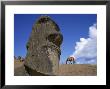 Close-Up Of Rano Rarakay, Stone Head Carved From Crater, Moai Stone Statues, Easter Island, Chile by Geoff Renner Limited Edition Print