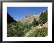 Gorges De La Restonica, Bergerie De Grottelle, Corsica, France by Yadid Levy Limited Edition Print