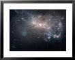 Magellanic Dwarf Irregular Galaxy Ngc 4449 In The Constellation Canes Venatici by Stocktrek Images Limited Edition Print