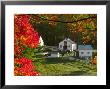Morning Chores At The Imagination Morgan Horse Farm, Bethel, Vermont, Usa by Charles Sleicher Limited Edition Print
