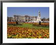 Buckingham Palace, London, England, Uk by Charles Bowman Limited Edition Pricing Art Print