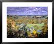 Autumn Landscape, Surrey, England by Jon Arnold Limited Edition Pricing Art Print