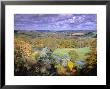 Autumn Landscape, Surrey, England by Jon Arnold Limited Edition Print