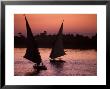Traditional Feluccas Set Sail On The Nile River, Egypt by Nik Wheeler Limited Edition Print