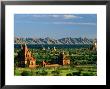 Plains Of Bagan, With Two Guni Pahtos And The Dhamma Yan-Zi-Ka Zedi, Old Bagan, Mandalay, Myanmar by Anders Blomqvist Limited Edition Print